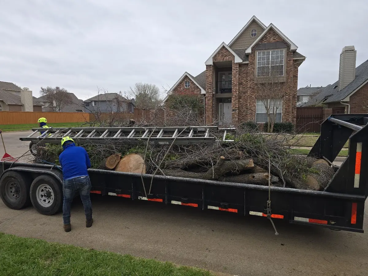 Expert Tree Fertilization with proper safety equipment in Thousandsticks